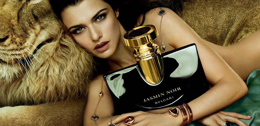 Sed mauris Pellentesque elit Aliquam at lacus interdum nascetur elit ipsum